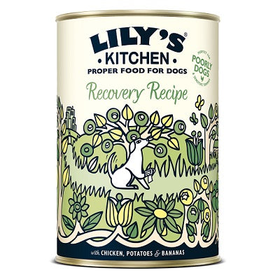 Lilys Kitchen Recovery Recipe 6x400g