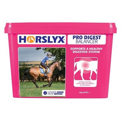 Horslyx Pro Digest Balancer Lick Refill