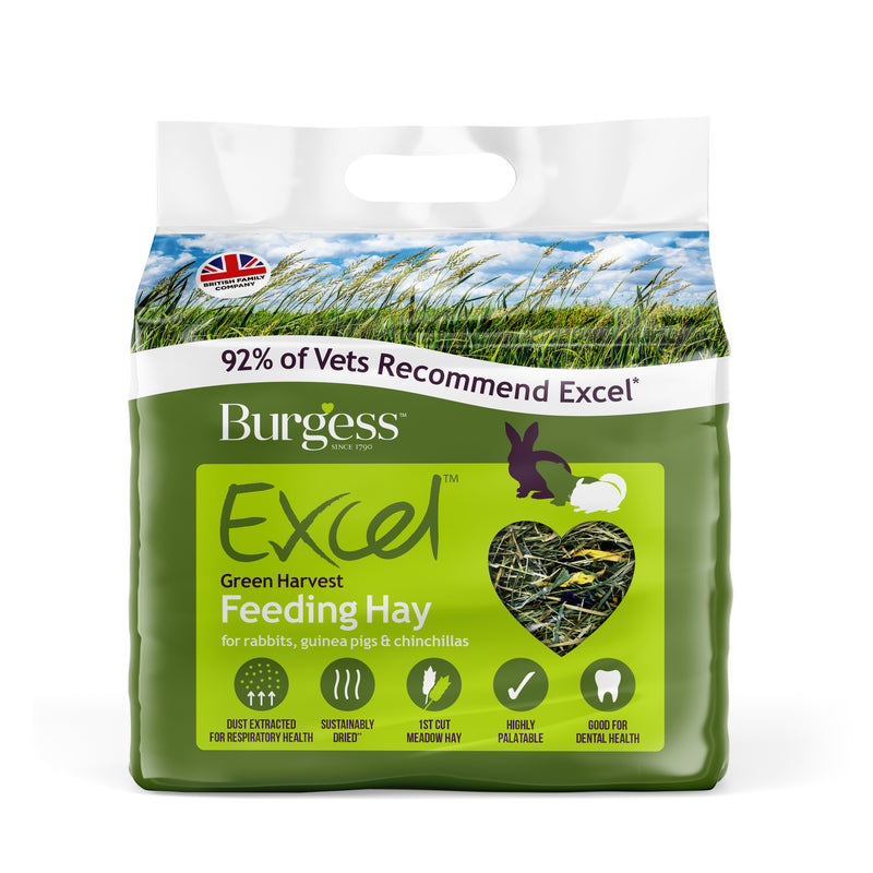 Burgess Excel Feeding Hay Green Harvest - 1KG