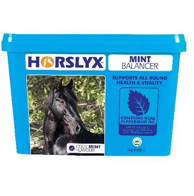 Horslyx Mint Lick Refill