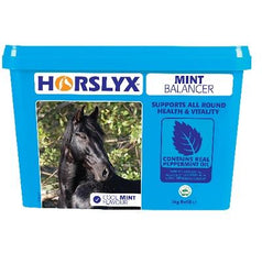 Ail-lenwi Lick Mint Horslyx