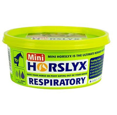 Anadlol Horslyx Minilick (12x650g)