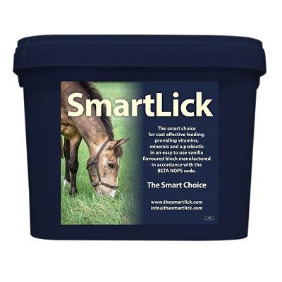 SmartLick Horse Lick