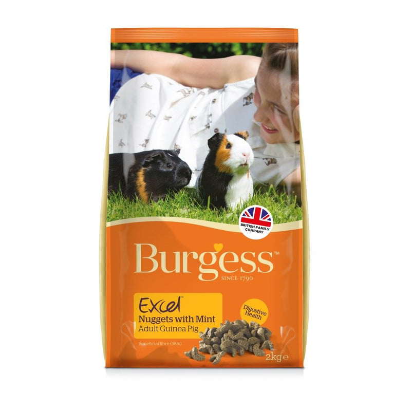 Burgess Excel Nuggets Moch Gini