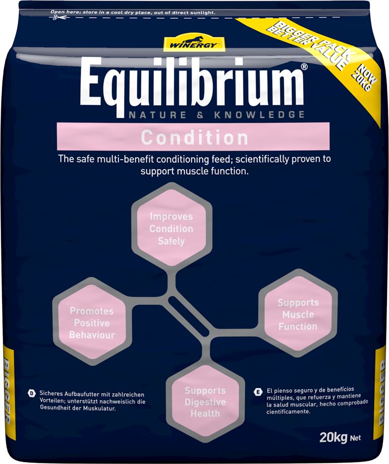 Winergy Equilibrium Condition