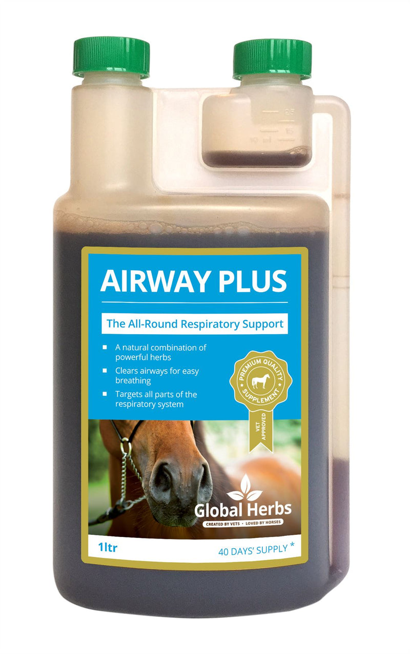 Global H Airway Plus