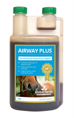 Global H Airway Plus