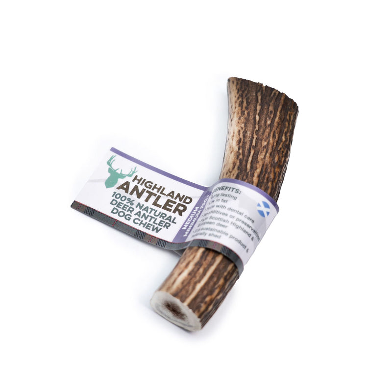 Bar Antos Antler