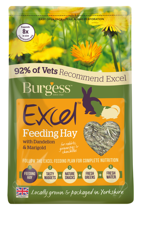 Burgess Excel Feeding Hay D/LionMarigold - 1KG