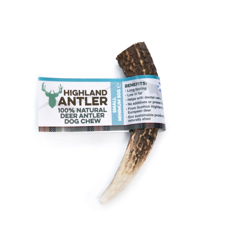 Bar Antos Antler