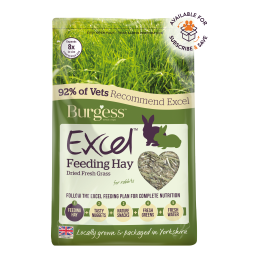 Burgess Excel Feeding Hay - 1KG