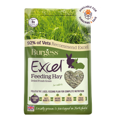 Burgess Excel Feeding Hay - 1KG