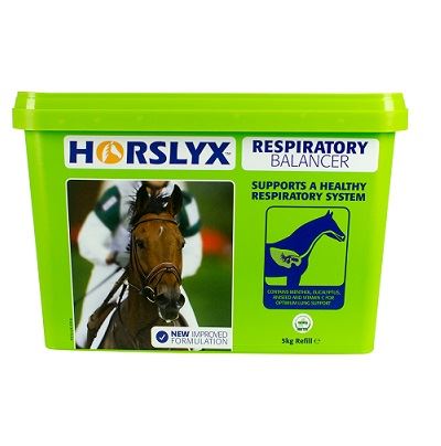 Ail-lenwi Lick Resbiradol Horslyx