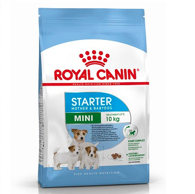 RC Mini Starter - 1KG