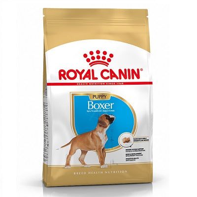 RC Boxer Puppy - 3KG