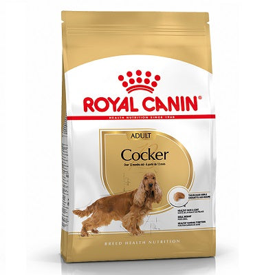 RC Cocker Spaniel - 3KG