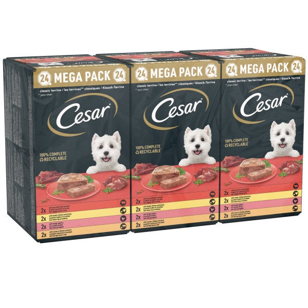 Cesar Tray Country Stew Chick&V 24x150g