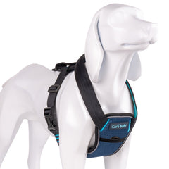 CarSafe Crash Tested Harness, Blue - Large