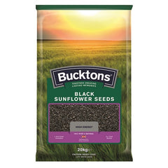 Bucktons Black Sunflower