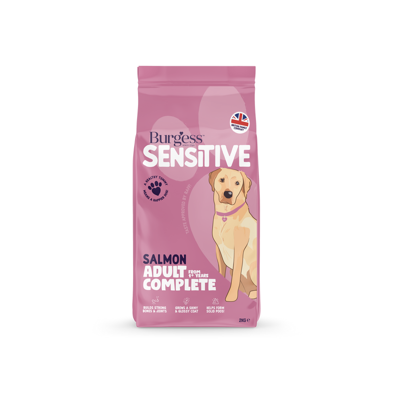 Burgess Sensitive Dog Salmon & Rice - 2KG