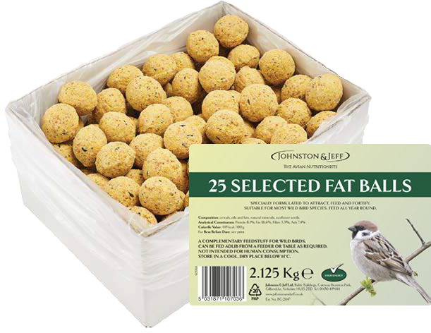 Johnston & Jeff Fatballs Refill No Nets Box x25