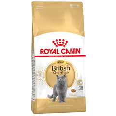 RC British Short Hair - 10KG