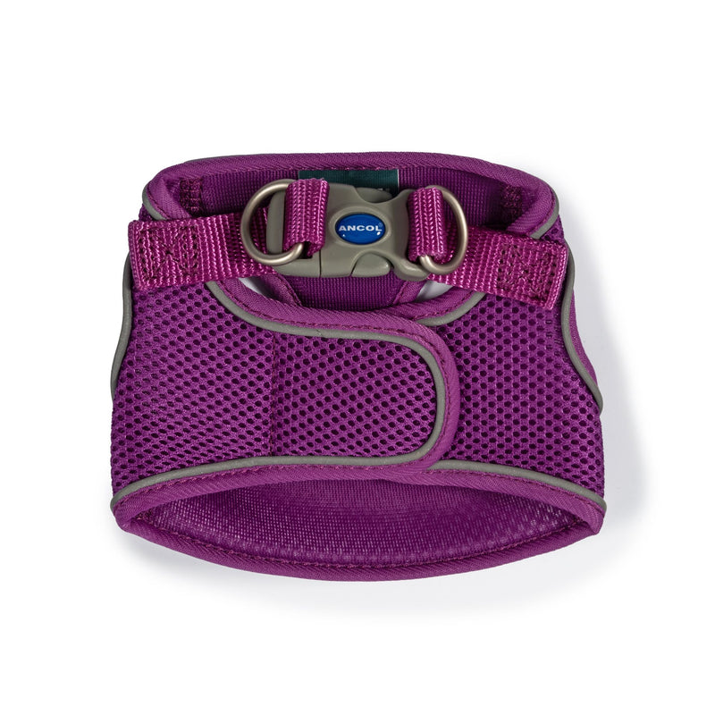 Ancol Viva Step In Harness Purple30-36cm