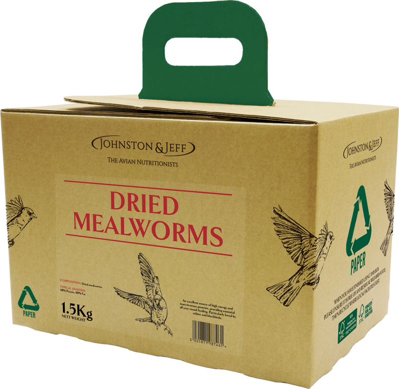 Johnston & Jeff Mealworms in EcoBox