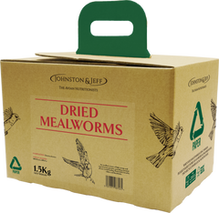 Johnston & Jeff Mealworms in EcoBox