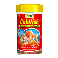 Tetra Goldfish