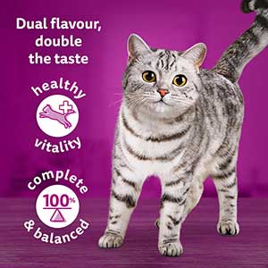 Cwdyn Whiskas 1+ Duo Surf &amp; Turf Jelly - 80x85g