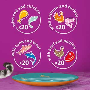 Cwdyn Whiskas 1+ Duo Surf &amp; Turf Jelly - 80x85g