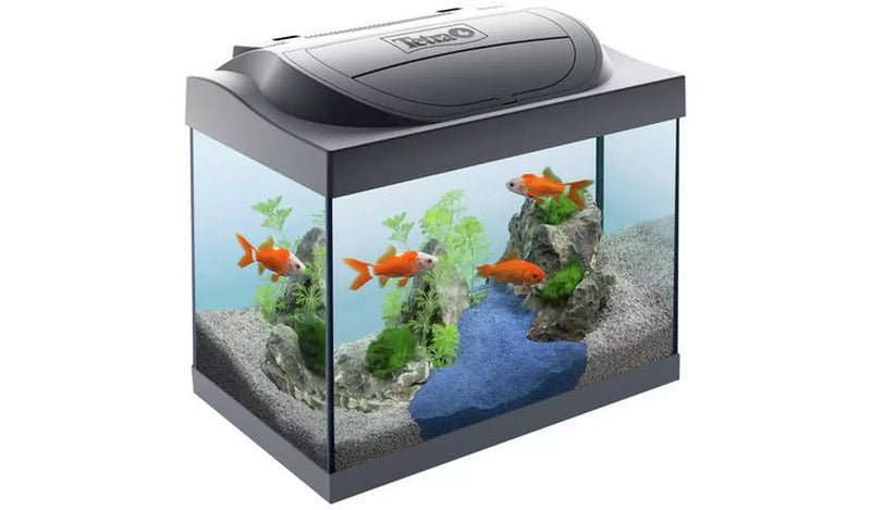 Tetra Starter Line 30L Goldfish Tank