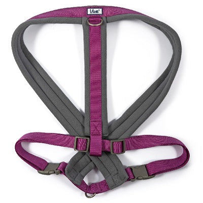 Ancol Viva Padded Harness Purple 97-130cm