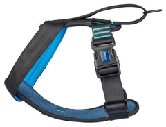 CarSafe Crash Tested Harness, Blue - Small
