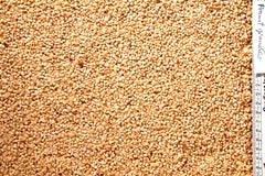 JJ Peanut Granules