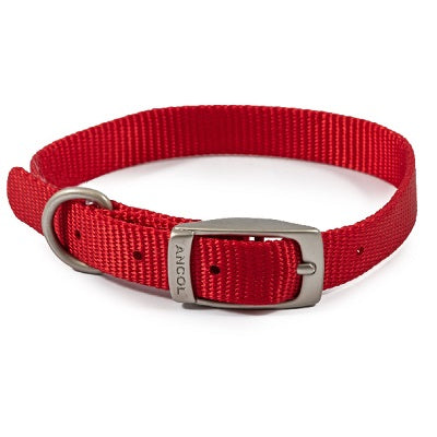 Ancol Viva Buckle Collar Red 26-31cm