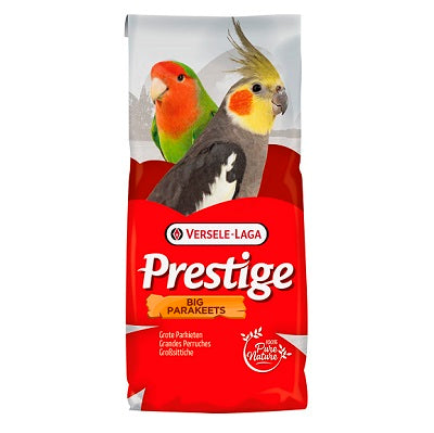 VL Big Parakeet Super Bridio Prestige