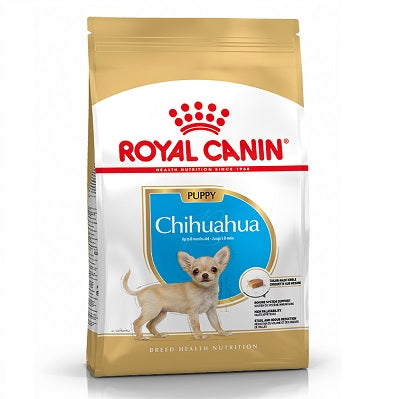 RC Chihuahua Puppy - 1.5KG