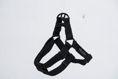 Gor Cotton Harness Small Black 1.5cm