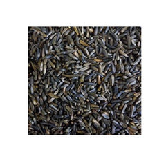 Hutton Mill Nyjer Seed - 12.5KG