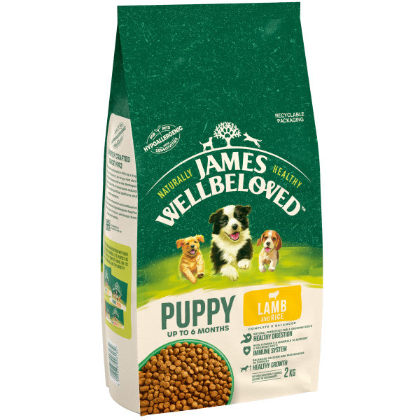 James Wellbeloved Puppy Lamb & Rice - 2KG